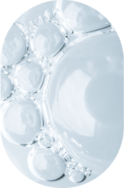 Polyglyceryl-6 Dicaprate/Caprylate