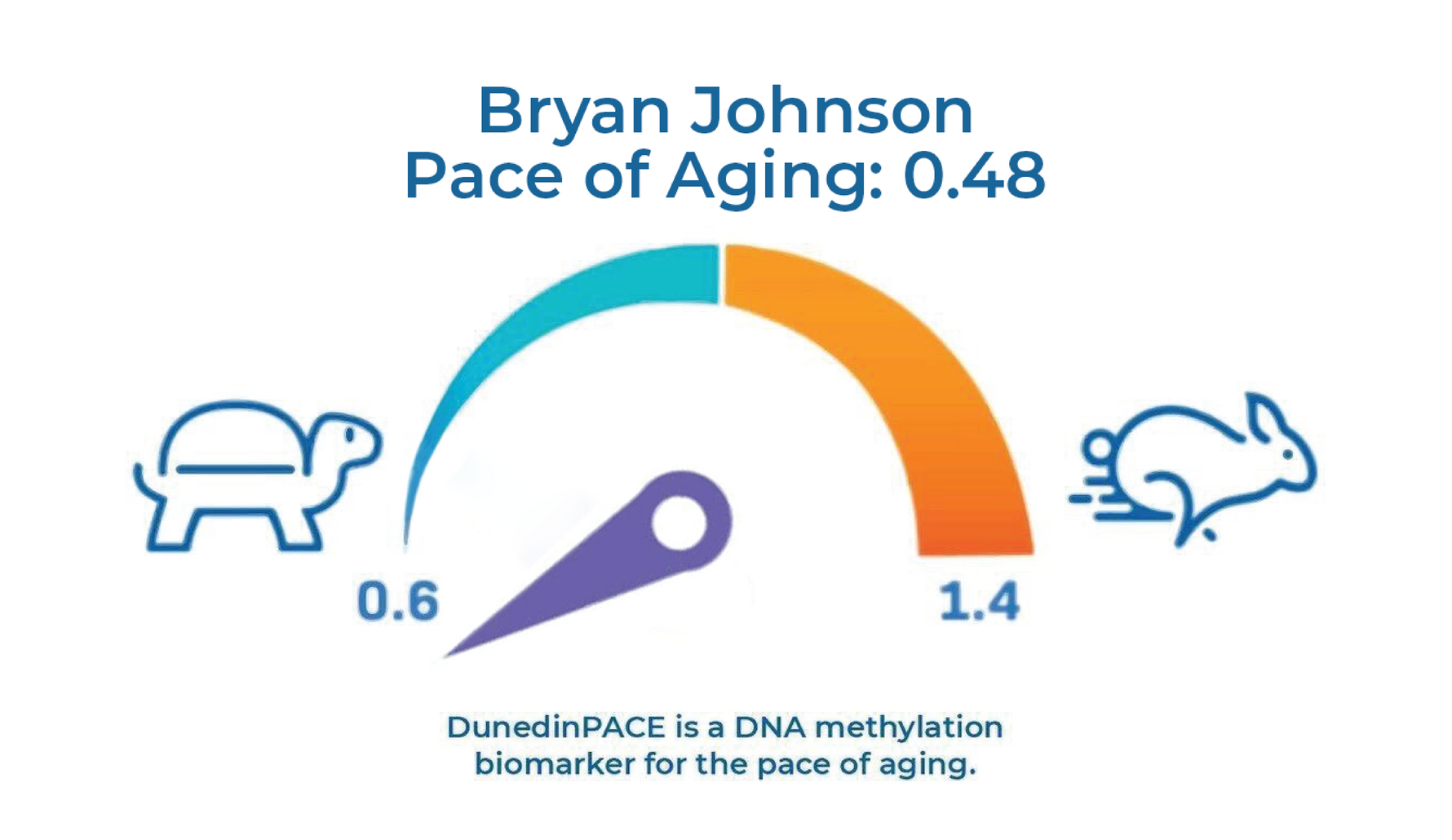 Bryan Johnson Pace of Aging