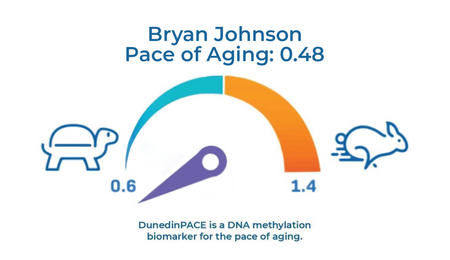 Bryan Johnson Pace of Aging