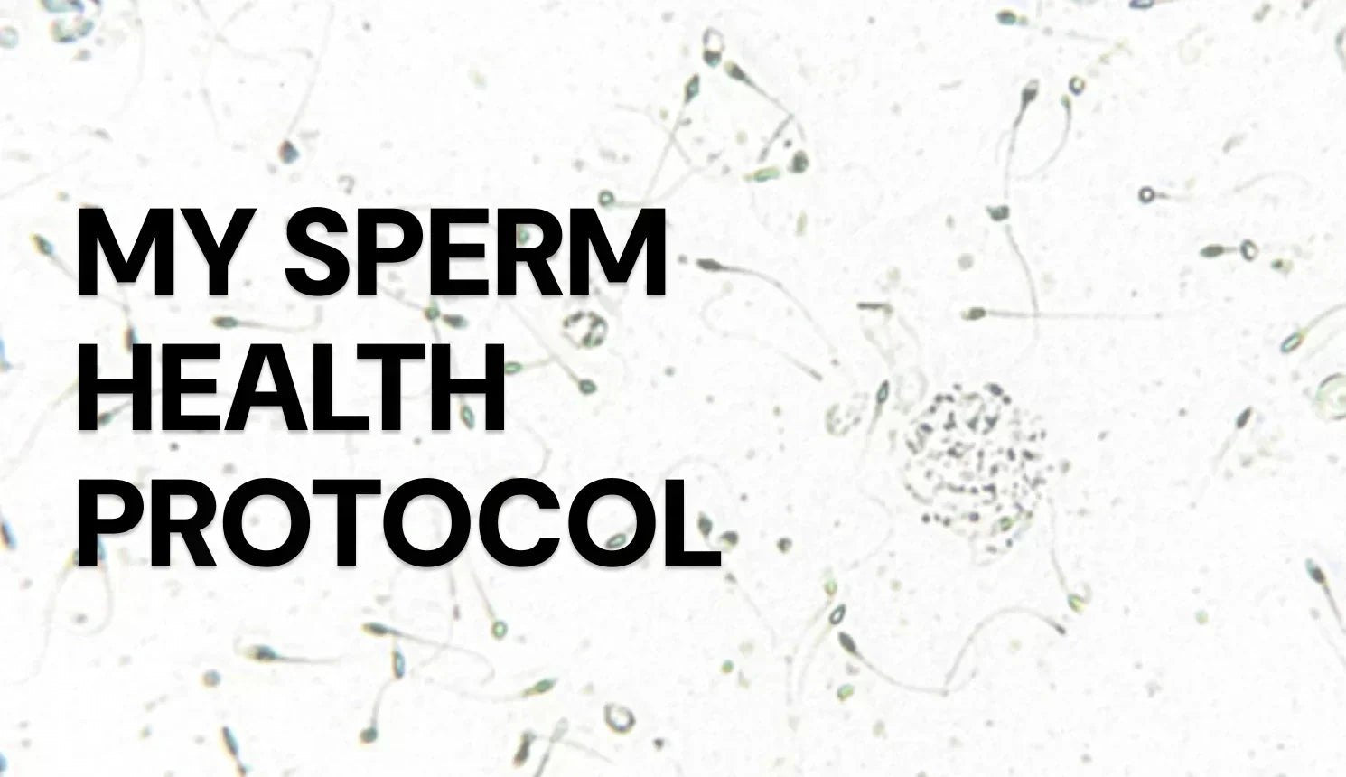 My sperm health protocol