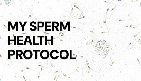 My sperm health protocol