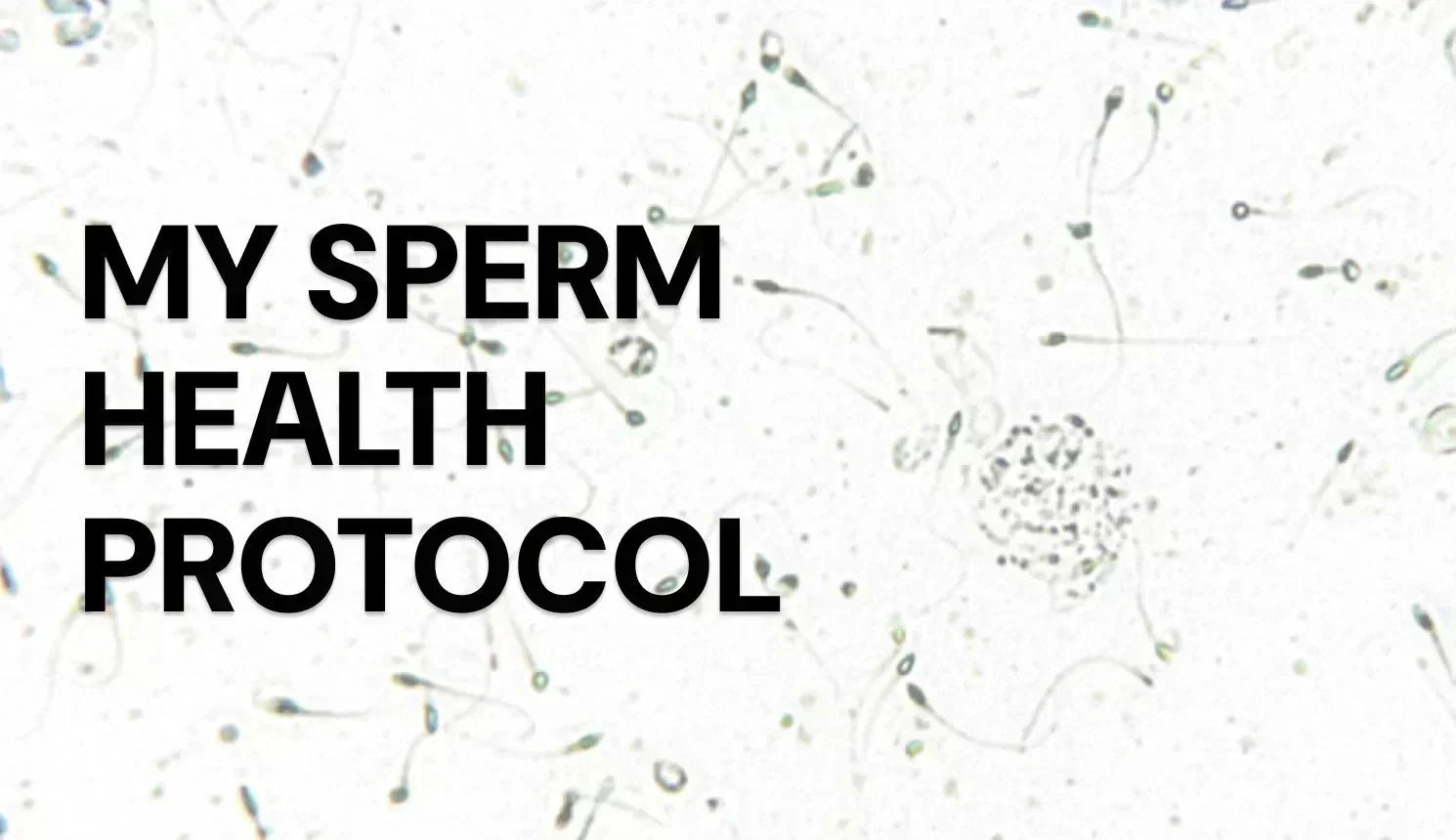 Sperm Health protocol
