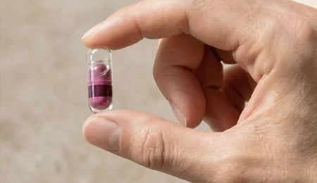Gut Health and Longevity: What's the Link?