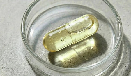 Omega-3 capsule from algae in a clear glass dish.