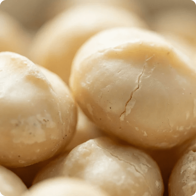 Brain & Heart Health