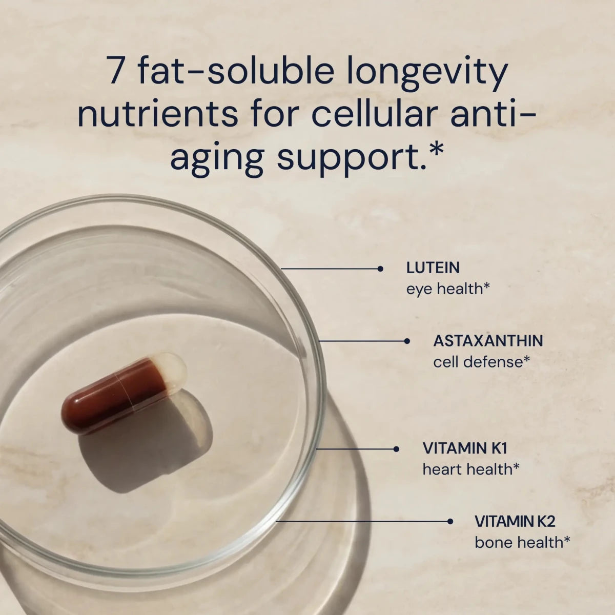 Blueprint Advanced Antioxidants capsule in a glass dish with lutein, astaxanthin, vitamin K1 and K2 for cellular anti-aging