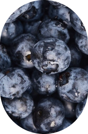 Blueberries