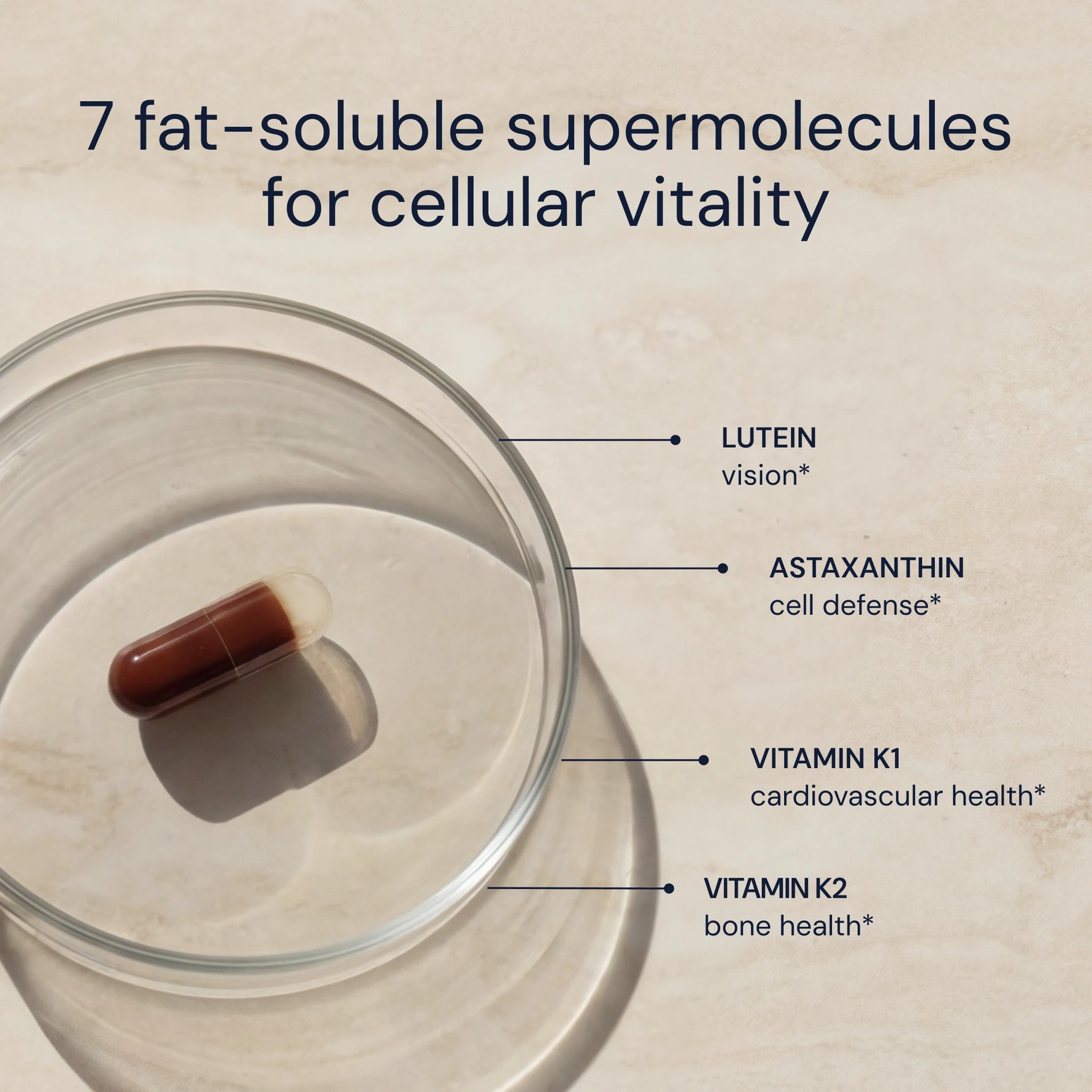 Supplement capsule with labeled fat-soluble supermolecules on a beige background