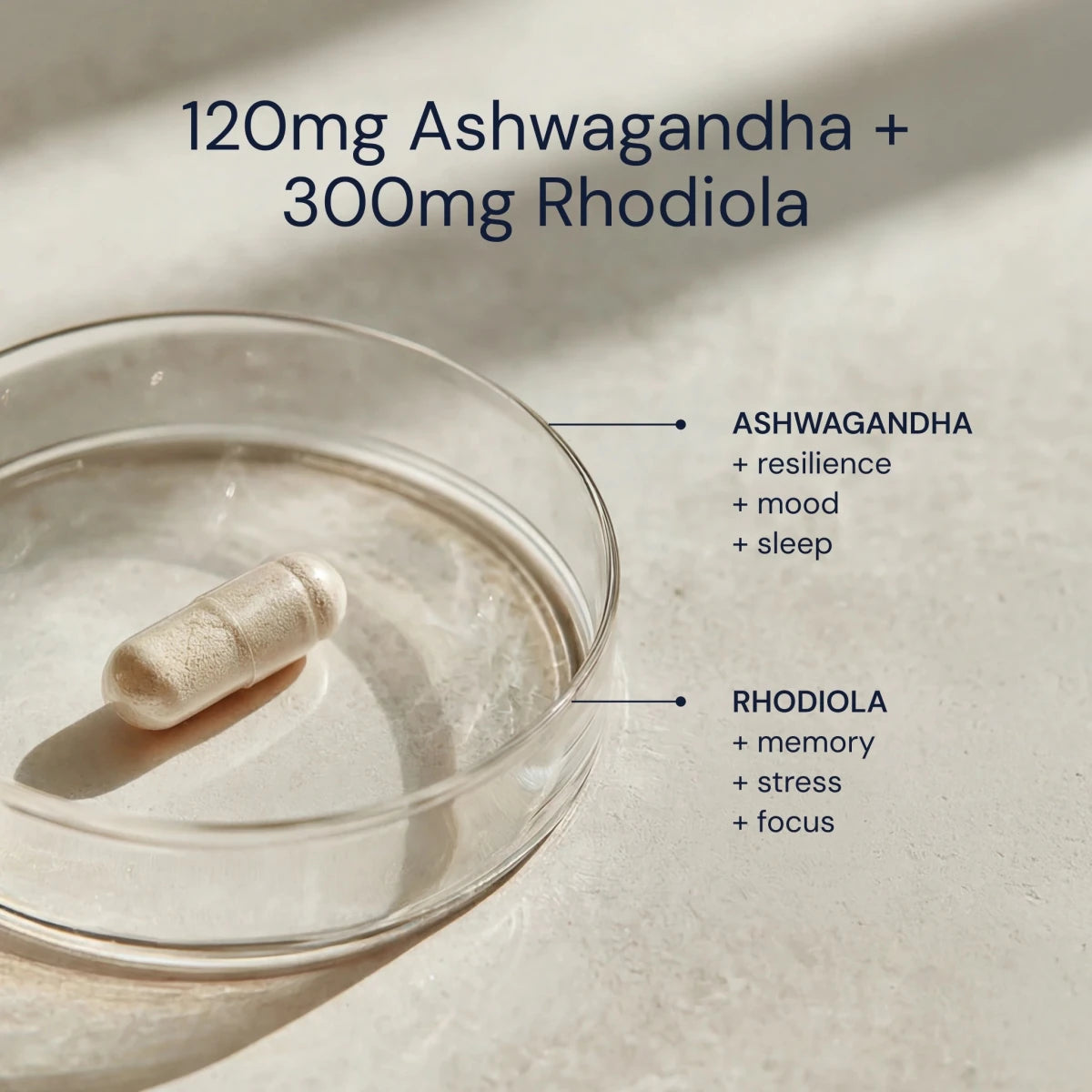Capsule with Ashwagandha and Rhodiola on a light background