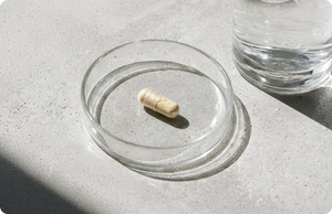 Ashwagandha + Rhodiola