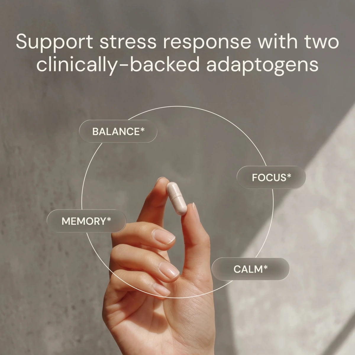 Hand holding a supplement capsule with text about stress response support and adaptogens on a blurred background