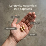 Hand holding two capsules labeled 'Brain', 'Immunity', 'Metabolism', and 'Bone' with a gray background.