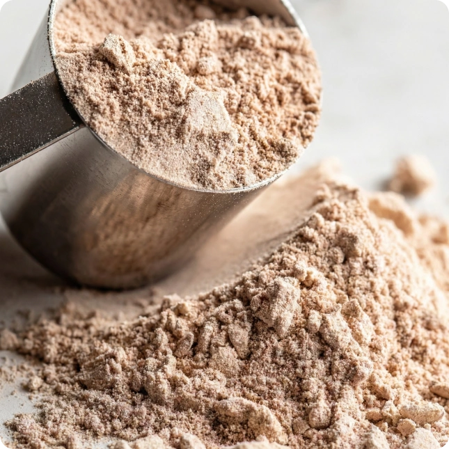 Close-up of a scoop filled with protein powder on a pile of powder.