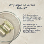 Algae oil capsules in a glass bowl with text explaining the difference between algae oil and fish oil.