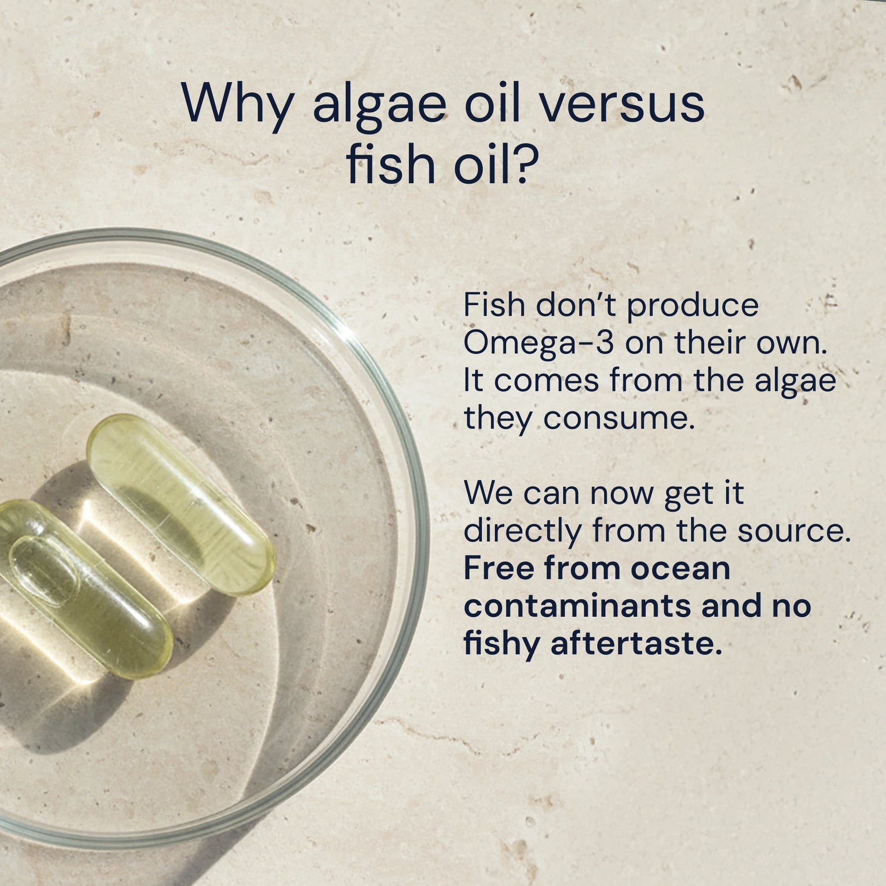 Algae oil capsules in a glass bowl with text explaining the difference between algae oil and fish oil.