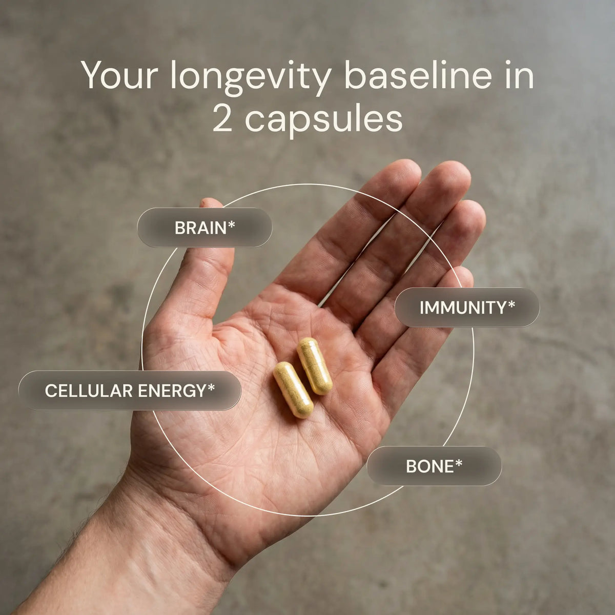 Hand holding two Blueprint Essential Capsules with brain, immunity, cellular energy and bone labels — your longevity baseline