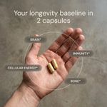 Hand holding two Blueprint Essential Capsules with brain, immunity, cellular energy and bone labels — your longevity baseline