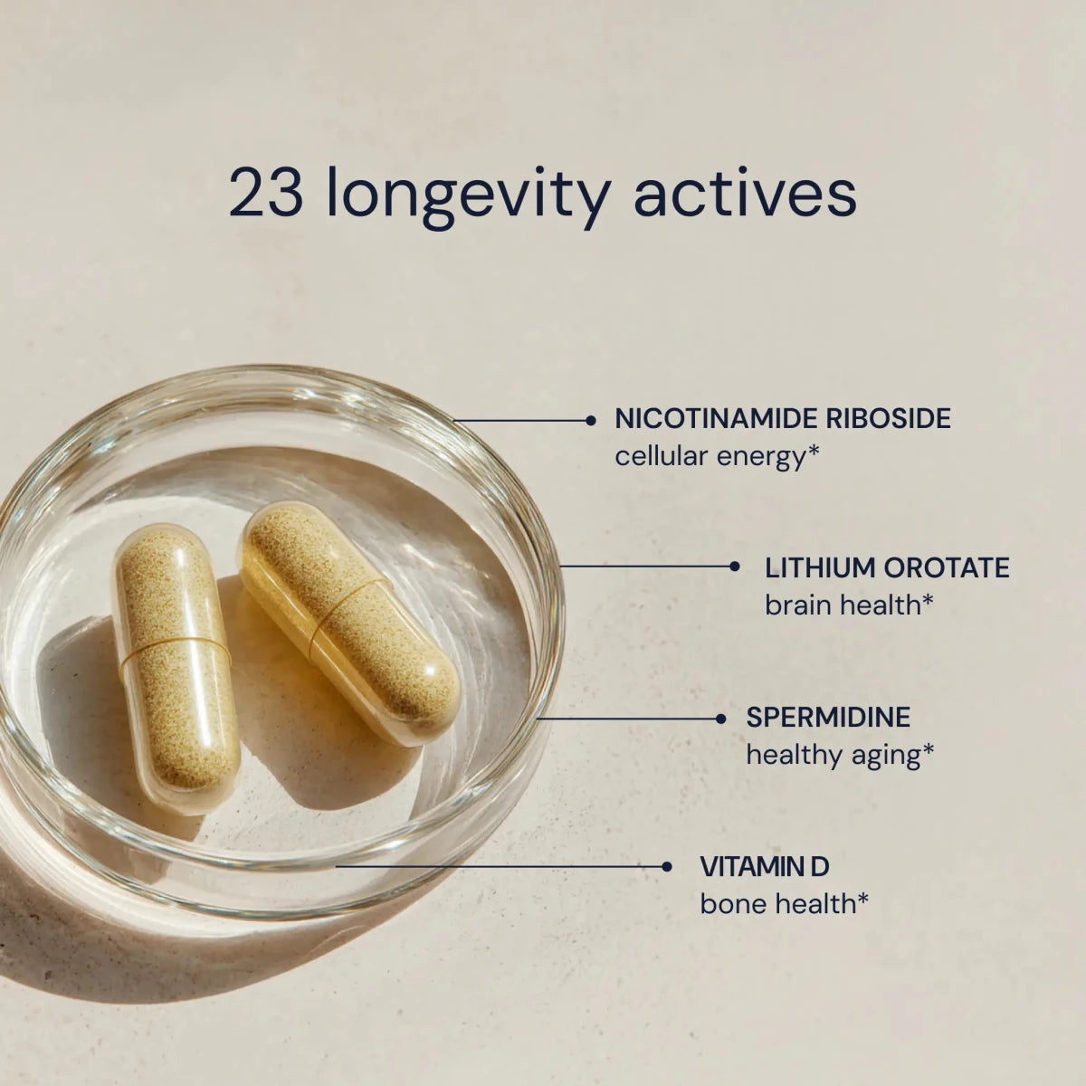 Blueprint Essential Capsules in a glass dish with 23 longevity actives including NR, lithium orotate, spermidine and vitamin D