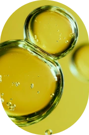 EVOO Polyphenols