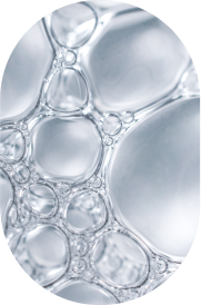 Ferulic Acid + Vitamin E
