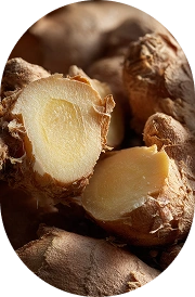 Ginger