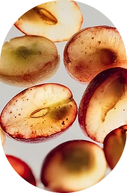Grape Seed Extract 