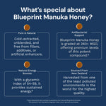 Premium Manuka Honey what is special about Blueprint honey 