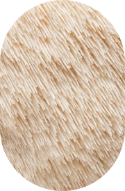 L-Theanine