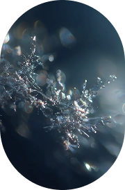 Lithium Orotate