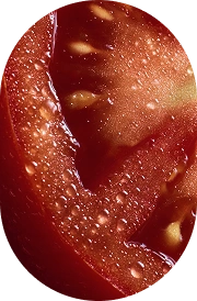 Lycopene