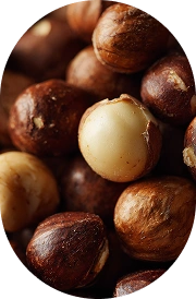Macadamia Nuts