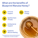 Boost your health with premium New Zealand Manuka honey, packed with 260+ MGO for powerful antibacterial support, immune health, and natural energy.
	•	Pure & Natural: Cold-extracted, additive-free, and toxin-free.
	•	Versatile: Supports energy, wound healing, sore throats, and overall wellness.
	•	Sustainably Sourced: Harvested from New Zealand’s pristine environment.
	•	Natural Energy: Low glycemic index for sustained energy and active lifestyles.