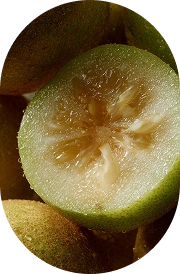 Monk Fruit