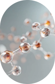 NMN (Nicotinamide Mononucleotide)