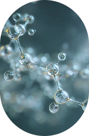 Nicotinamide Riboside Chloride (NR)
