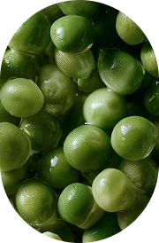 Pea Starch 