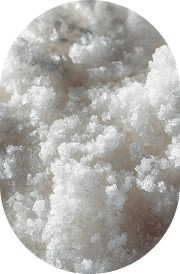 Sea Salt 