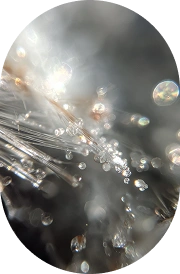 Vitamin B12 (Methylcobalamin)