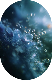 Vitamin B5 (Calcium-D-Pantothenate)