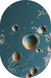 Vitamin B6 (Pyridoxine HCI)