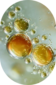 Vitamin E (D-Alpha Tocopherol)