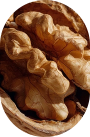 Walnuts