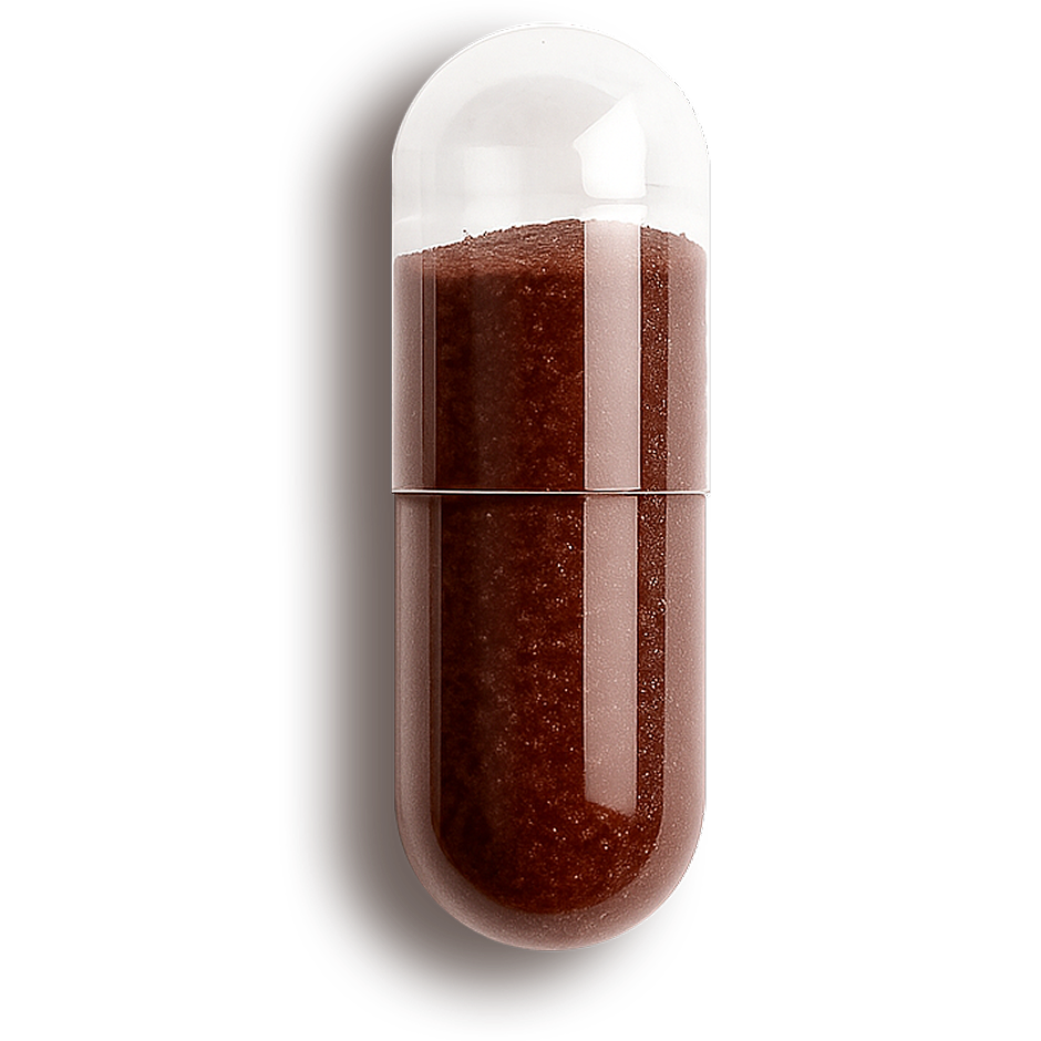 Brown capsule-shaped object on a white background