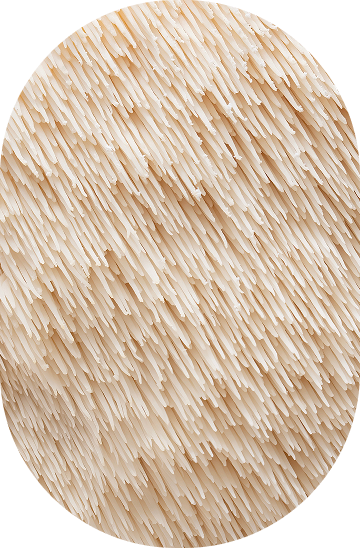 L-Theanine